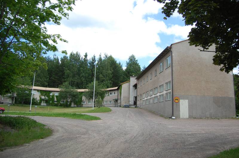 Tipula&nbsp;(Sinikka Myyrä&nbsp;7.7.2011)