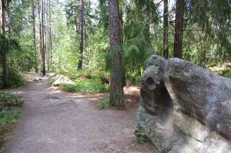 Muinaisuomanpuistoa.&nbsp;(Sinikka Myyrä&nbsp;7.7.2011)