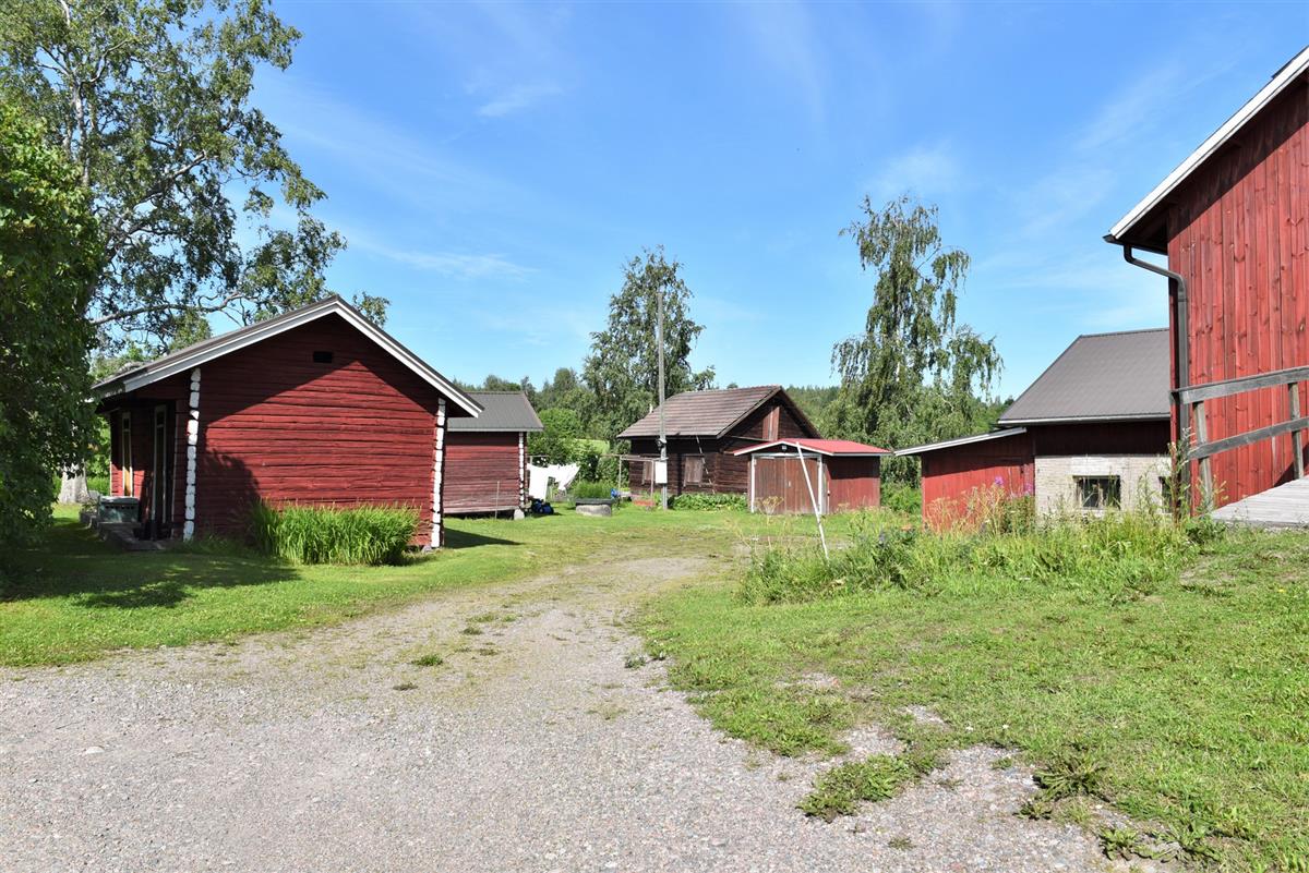 Kuvattu Hauenkujalta pihaan johtavalta kujalta. Kuvassa vasemmalta oikealle: pariaitta, yksinäisaitta, vanha sauna, autosuoja ja karjarakennus.&nbsp;(Teija Ahola&nbsp;2023)