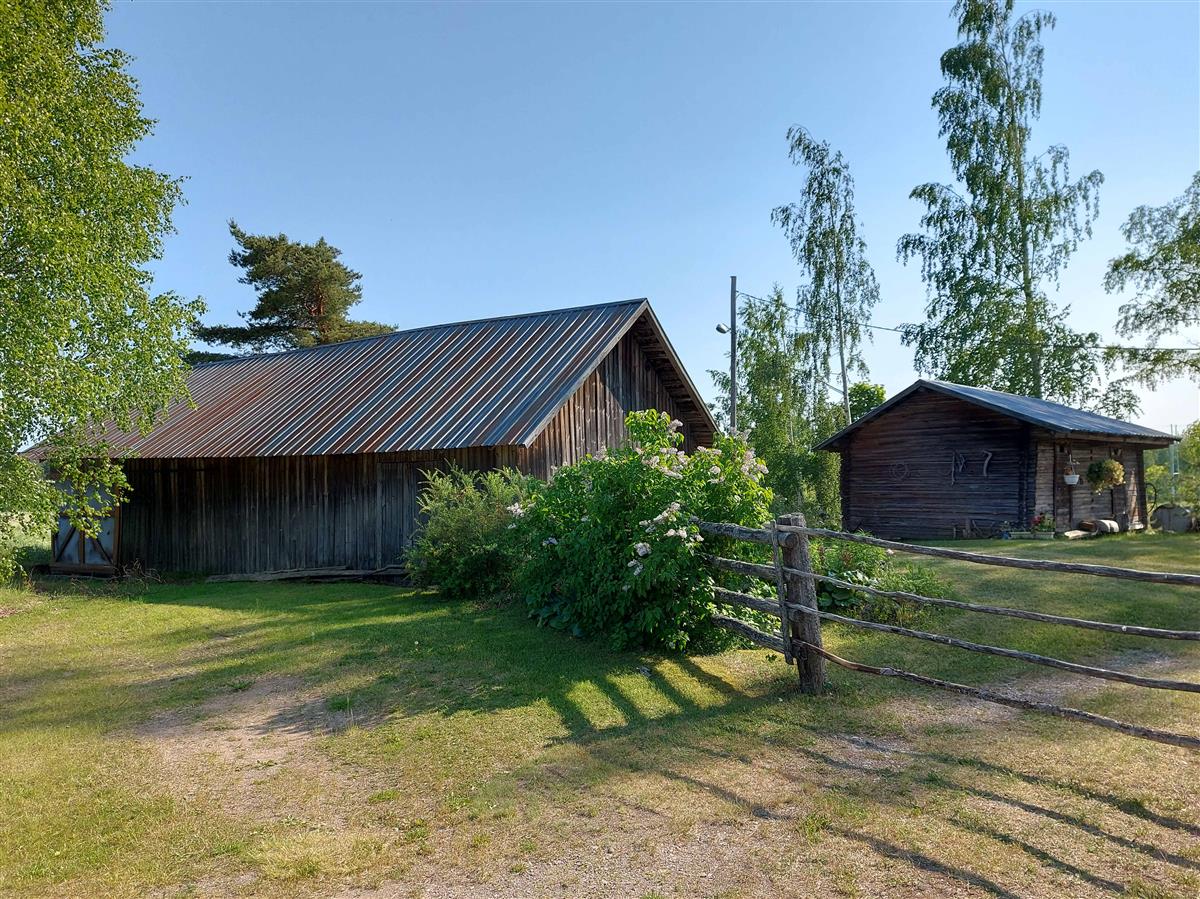 &nbsp;(Niina Uusi-Seppä&nbsp;2023)