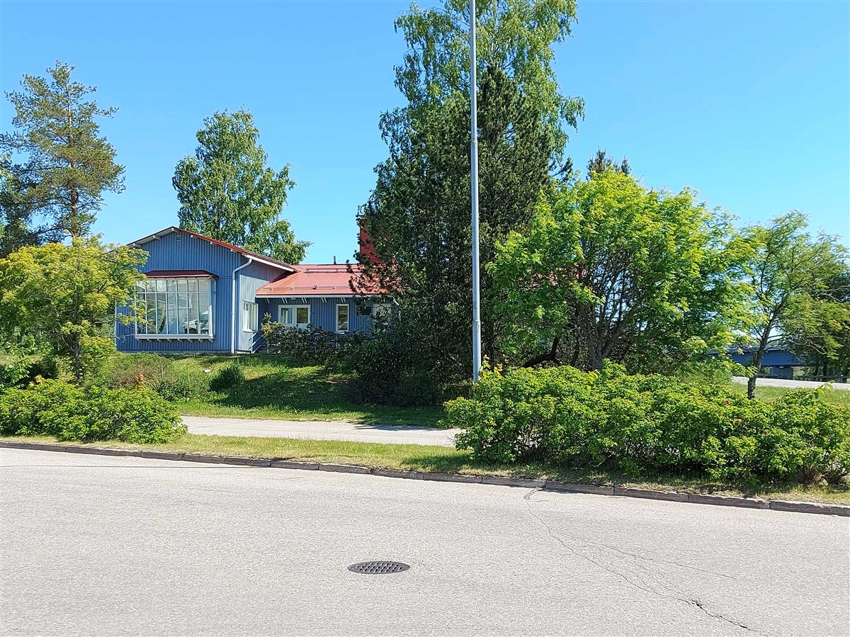 &nbsp;(Niina Uusi-Seppä&nbsp;2023)