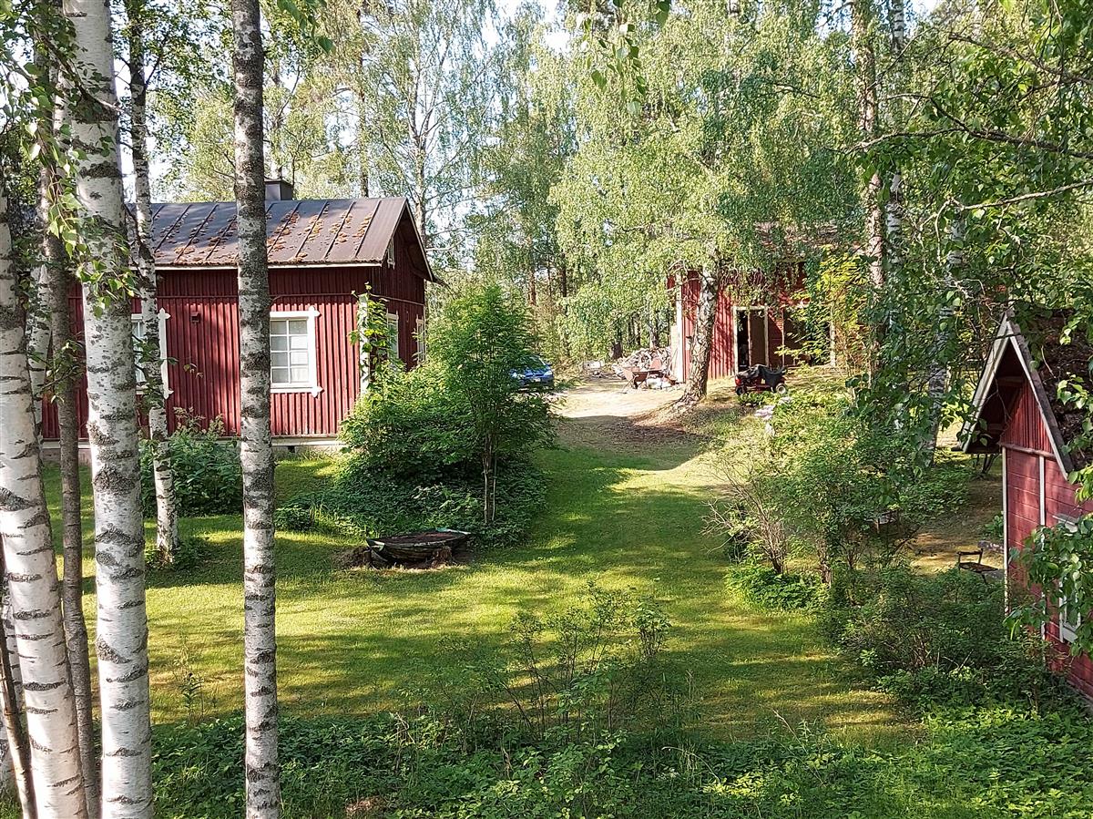 &nbsp;(Niina Uusi-Seppä&nbsp;2023)