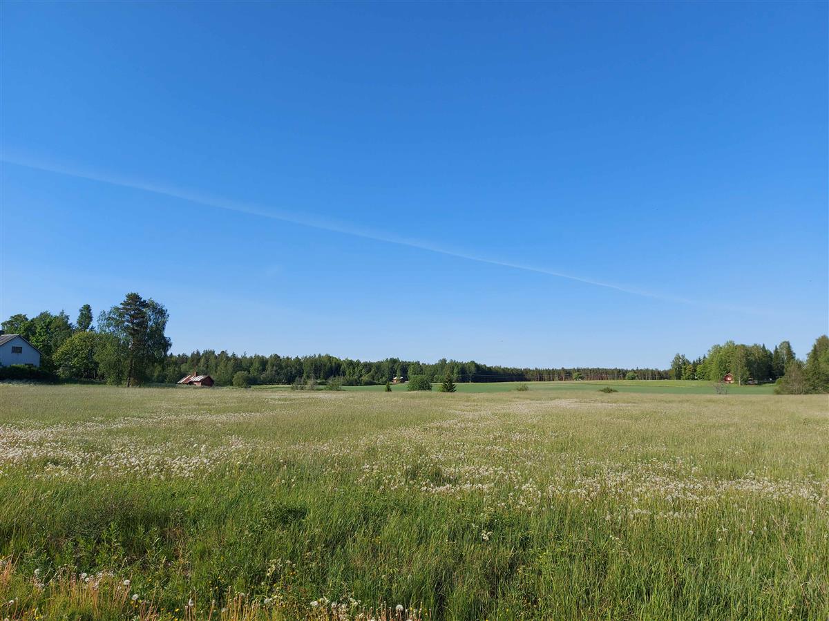 &nbsp;(Niina Uusi-Seppä&nbsp;2023)