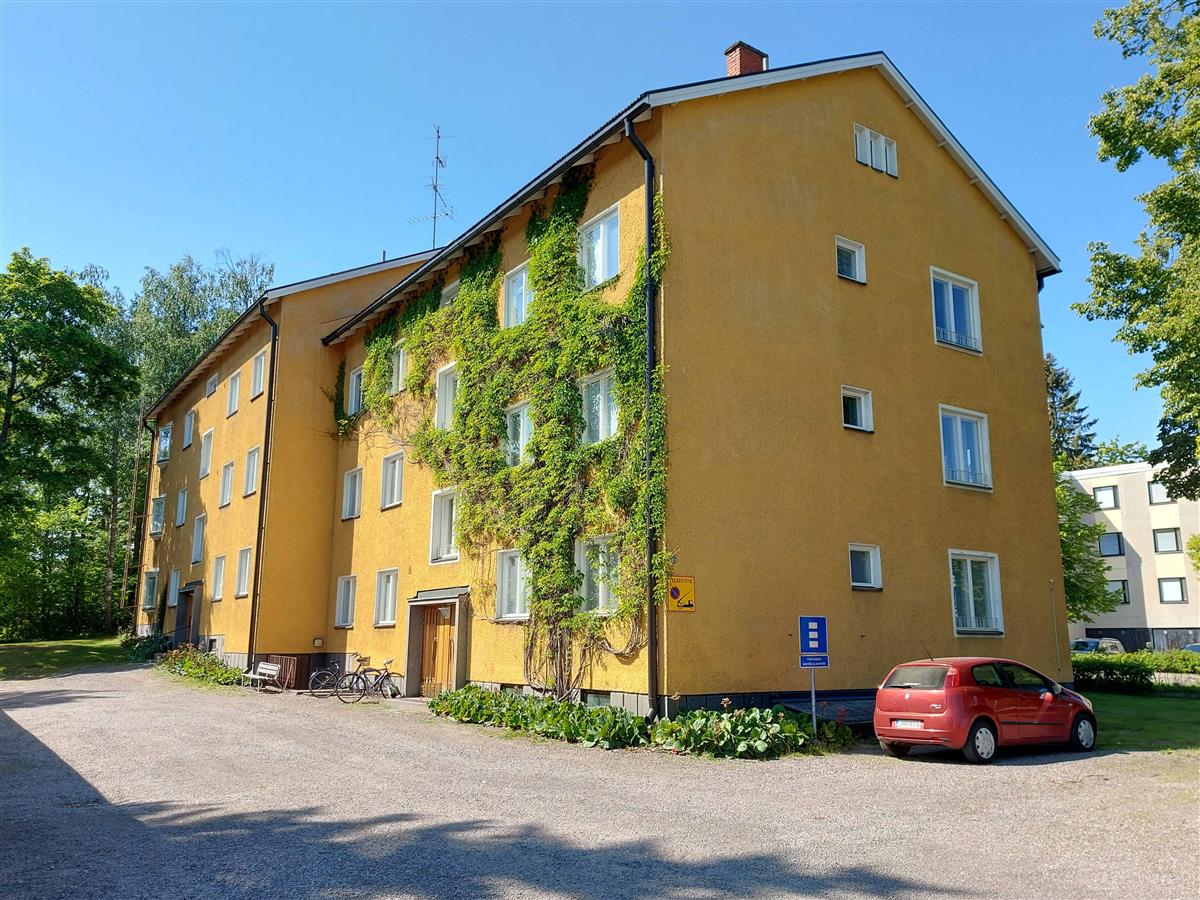 &nbsp;(Niina Uusi-Seppä&nbsp;2023)