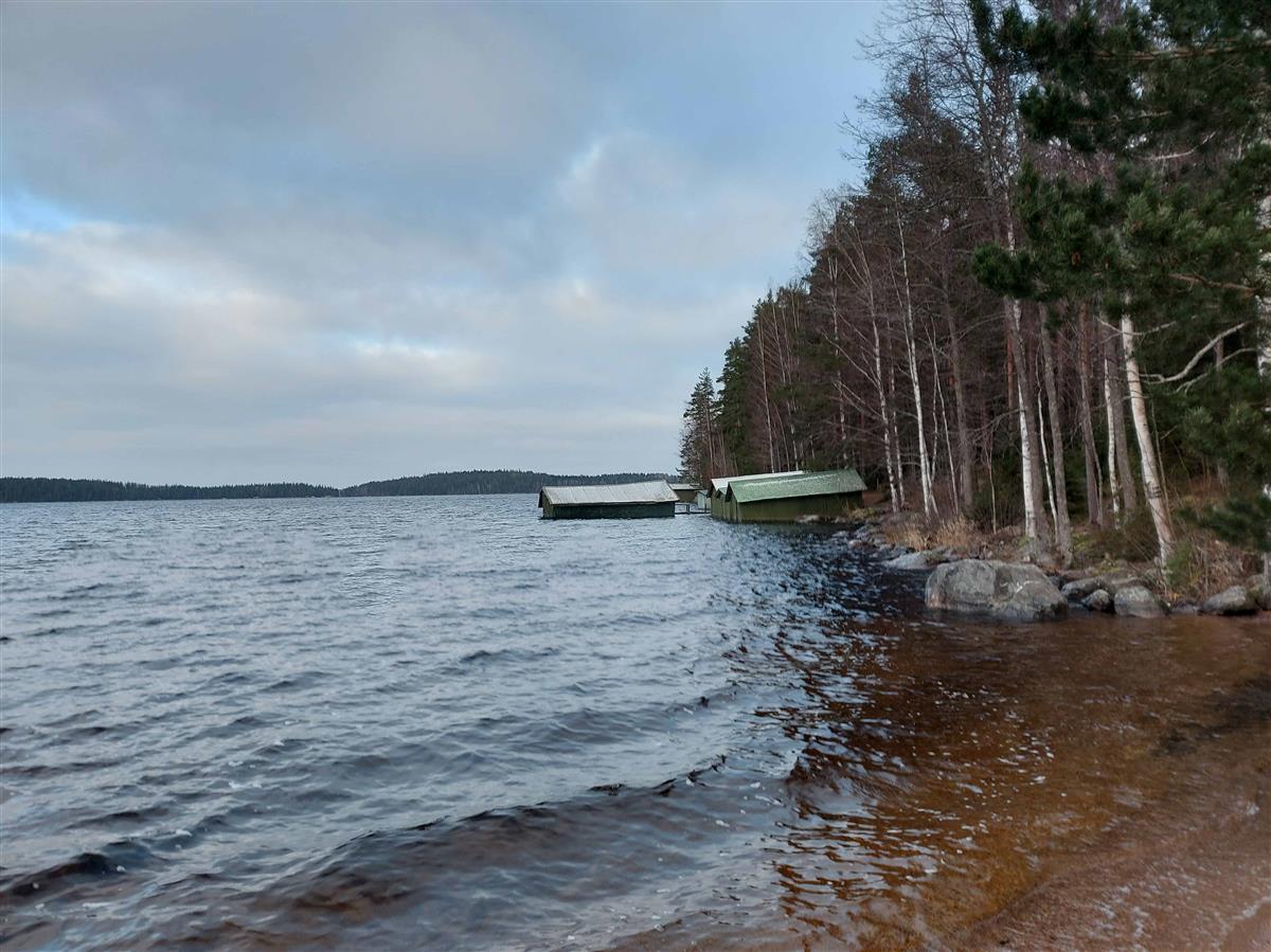 &nbsp;(Niina Uusi-Seppä&nbsp;2023)