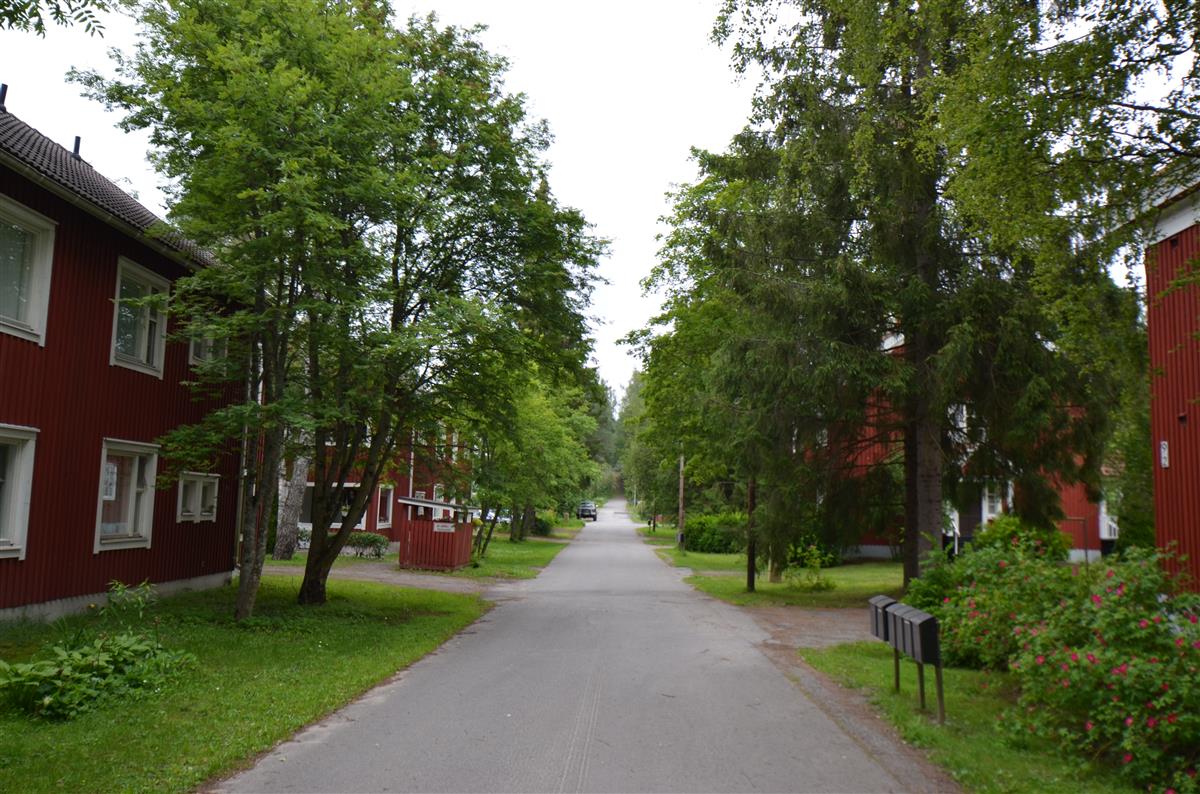 Niskalammen asuntoalue. Näkymä Kuppilantieltä etelään päin.&nbsp;(Päivi Makkonen&nbsp;2025)