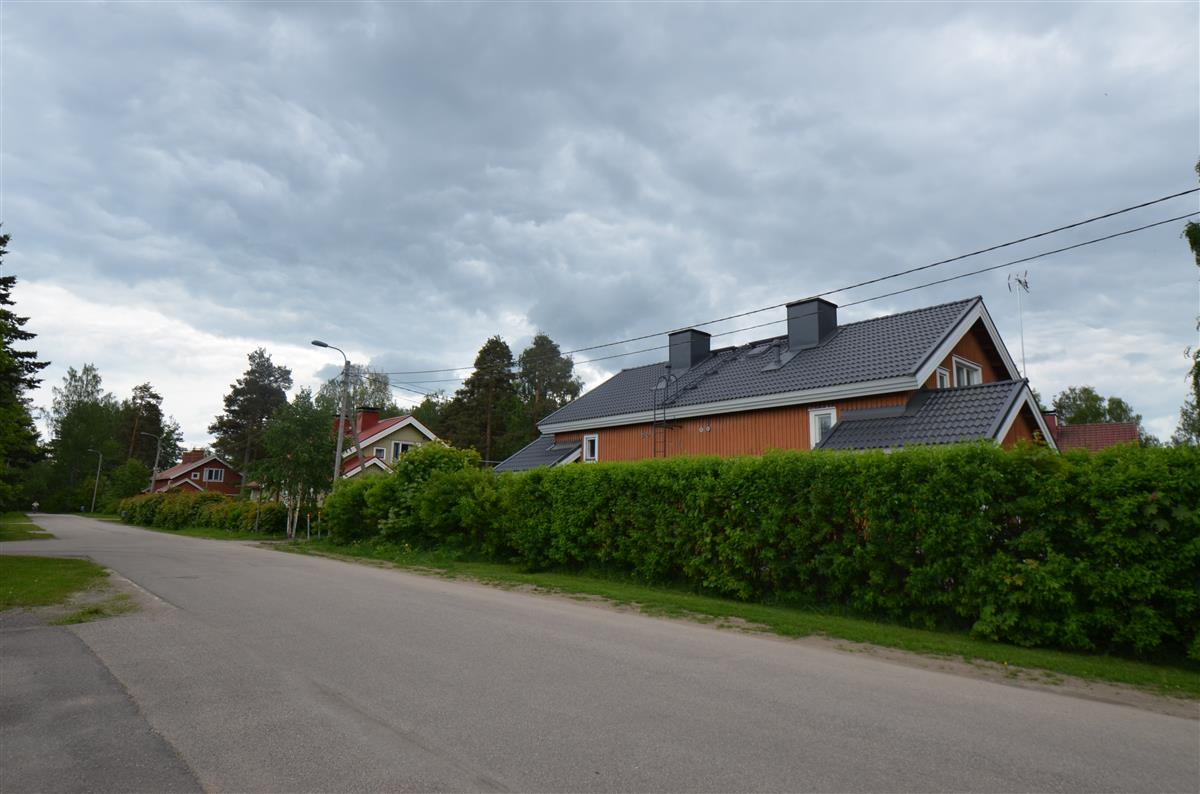 Näkymä Säterikujalta etelän suuntaan, etualalla Säterikuja 2 ja Purukuja 1.&nbsp;(Päivi Makkonen&nbsp;2025)