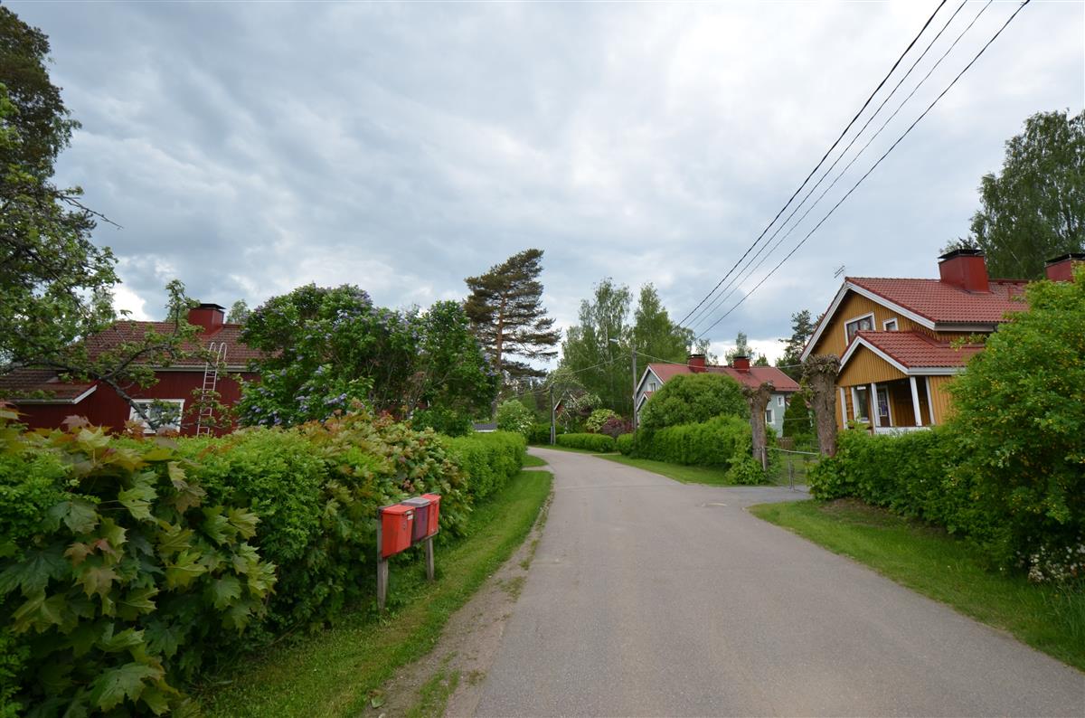 Näkymän Rullakujalta lounaan suuntaan, oikealla Rullakuja 6 ja 4, vasemmalla Rullakuja 3.&nbsp;(Päivi Makkonen&nbsp;2025)