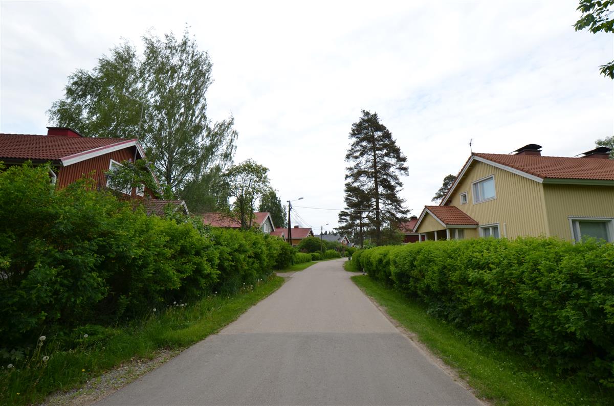 Näkymän Rullakujalta koillisen suuntaan, vasemmalla Rullakuja 2, oikealla Rullakuja 1.&nbsp;(Päivi Makkonen&nbsp;2025)
