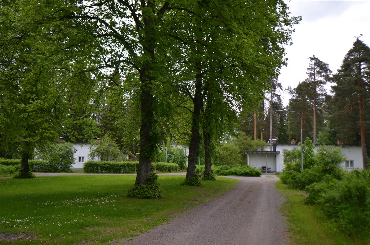 Näkymä alueen keskipuistosta koillista kohti. Taustalla Paperimiehenkuja 2 ja 1.&nbsp;(Päivi Makkonen&nbsp;2025)
