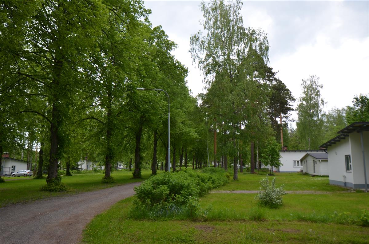 Näkymä Lättäläntien risteyksestä pohjoista kohti alueen keskellä sijaitsevaa puistoa. Oikealla Vähäkalliontie 2 ja 4.&nbsp;(Päivi Makkonen&nbsp;2025)
