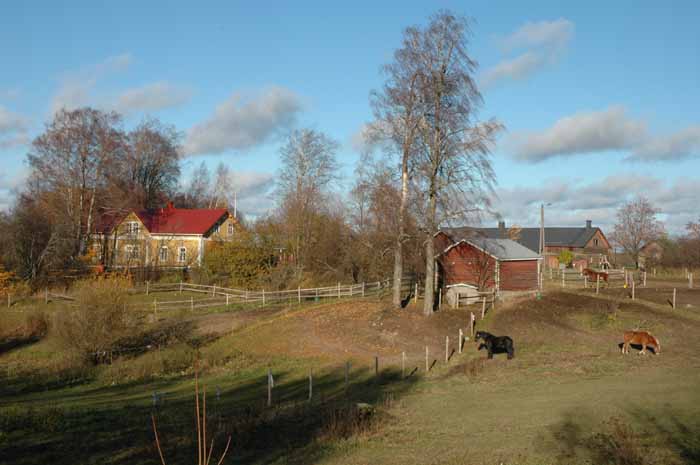 &nbsp;(Seppo Pelkonen&nbsp;20.10.2004)