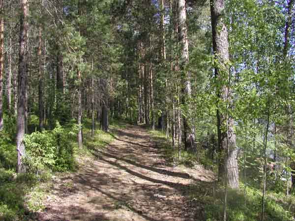 &nbsp;(Pöyry Environment oy/Matti Veijovuori&nbsp;2007)