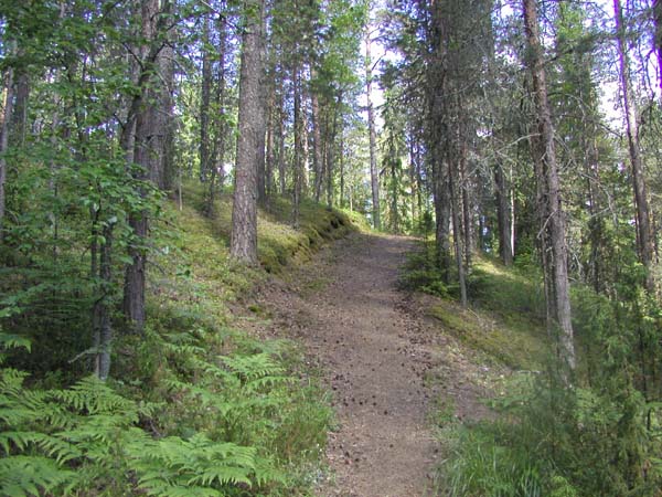 &nbsp;(Pöyry Environment oy/Matti Veijovuori&nbsp;2007)