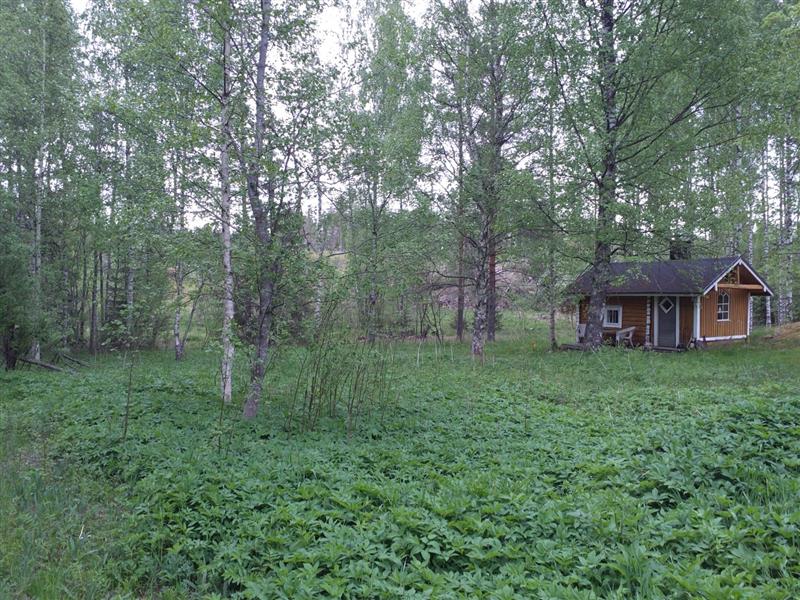 Pihapiirin ulkopuolella sijaitseva hirsisauna ja sen takana avautuva entinen viljelyaukea.&nbsp;(Dan Ronimus&nbsp;5/2022)