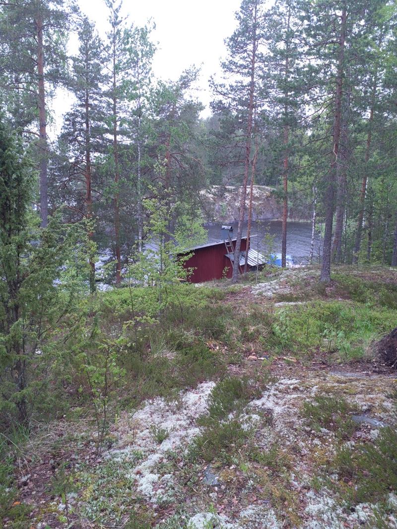 Saunarakennus on myös tavanomainen 1950-luvun tuotos.&nbsp;(Dan Ronimus&nbsp;5/2022)