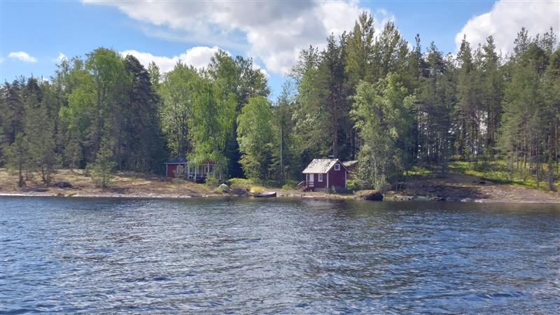 Luonnonmukainen ympäristö jatkuu myös pihapiirin ulkopuolella.&nbsp;(Dan Ronimus&nbsp;5/2022)