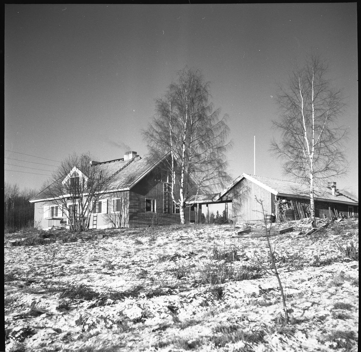 Nuijamaan pappila, kaksi rakennusta&nbsp;(Kuvapaja&nbsp;1955)