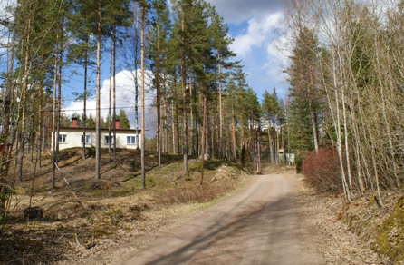 Tiemaisema&nbsp;(Teija Ahola&nbsp;Heinäkuu 2010)