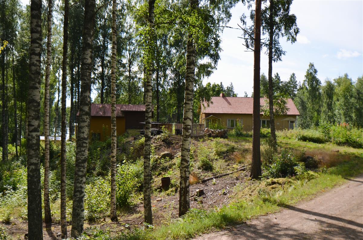 Kesäniementie 104a:n, Vierula, pihapiiriä Kesäniementieltä, luoteesta päin kuvattuna.&nbsp;(Päivi Makkonen&nbsp;2026)