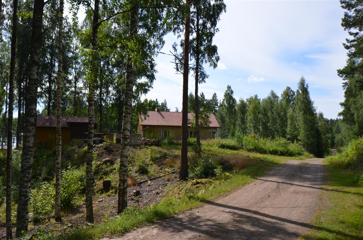 Näkymä Kesäniementieltä kohti lounasta. Vasemmalla Vierulan rakennuksia.&nbsp;(Päivi Makkonen&nbsp;2026)