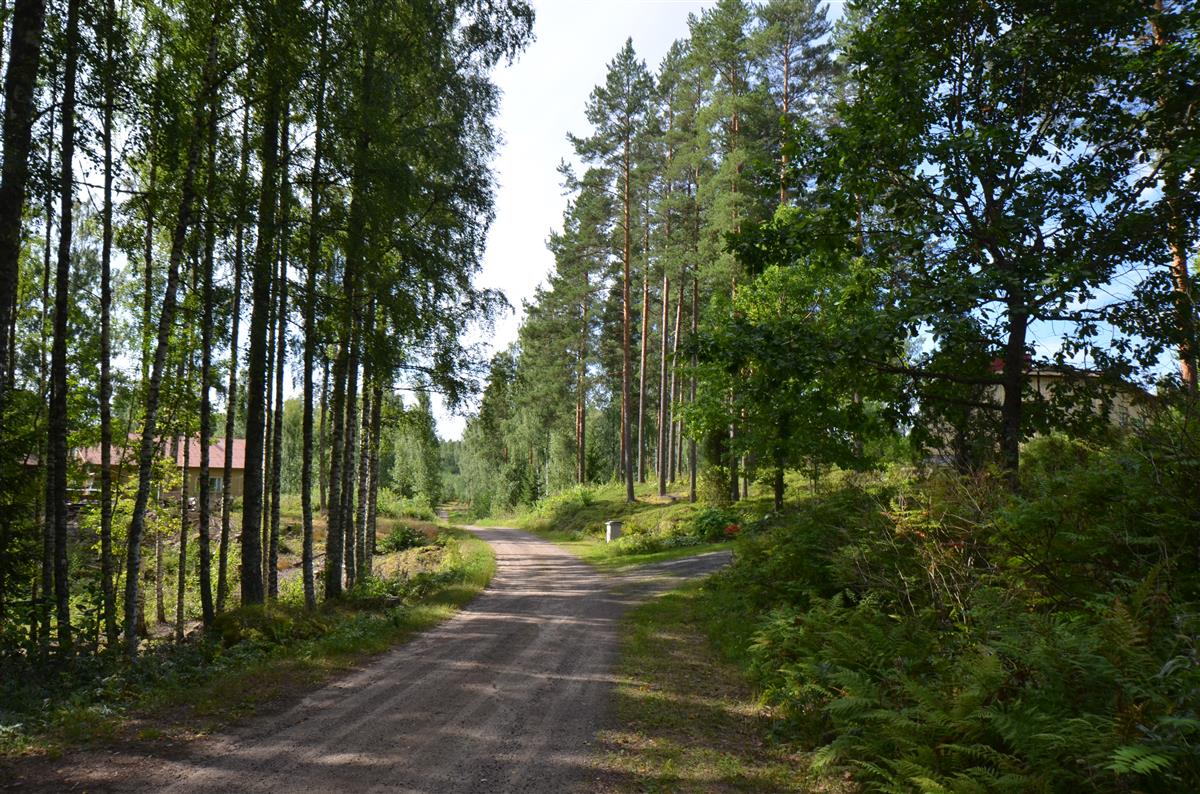 Näkymä Kesäniementieltä kohti lounasta. Vasemmalla taustalla Vierula, oikealla Toivola.&nbsp;(Päivi Makkonen&nbsp;2026)