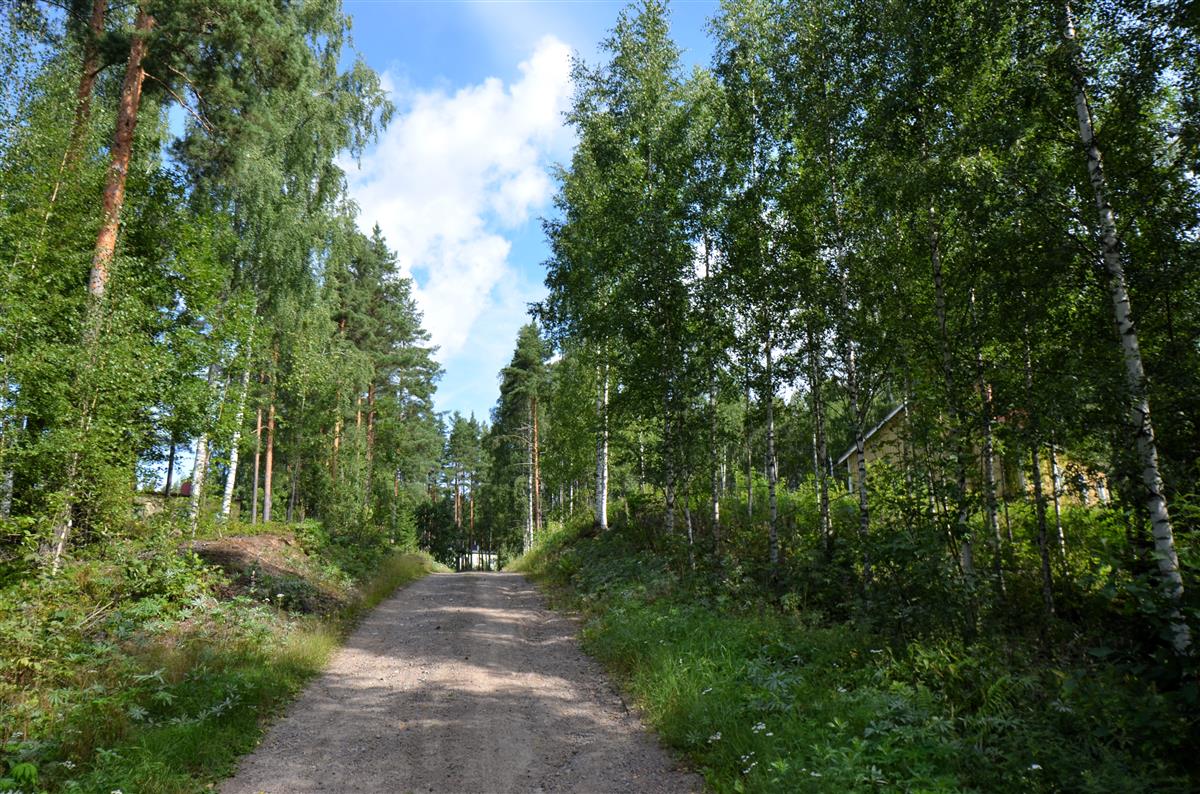 Näkymä Kesäniementieltä kohti koillista. Vasemmalla pilkottaa Toivola, oikealla Vierula ja tien päässä Kujala.&nbsp;(Päivi Makkonen&nbsp;2026)
