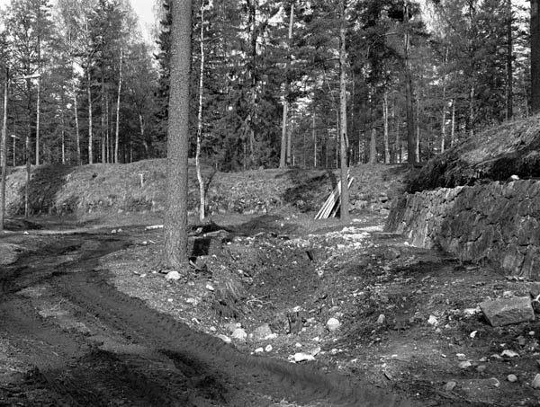 &nbsp;(Arto Hämäläinen&nbsp;1986)