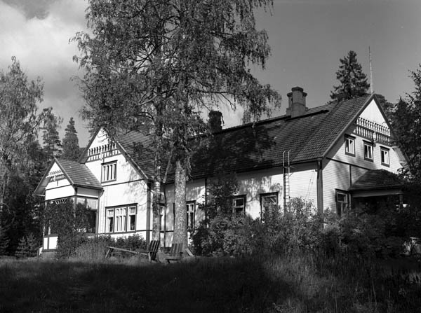 &nbsp;(Arto Hämäläinen&nbsp;1986)