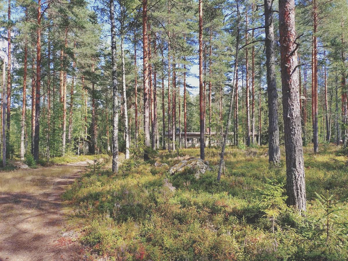 upseeriparakki tulotieltä kuvattuna&nbsp;(Teija Ahola&nbsp;2025)