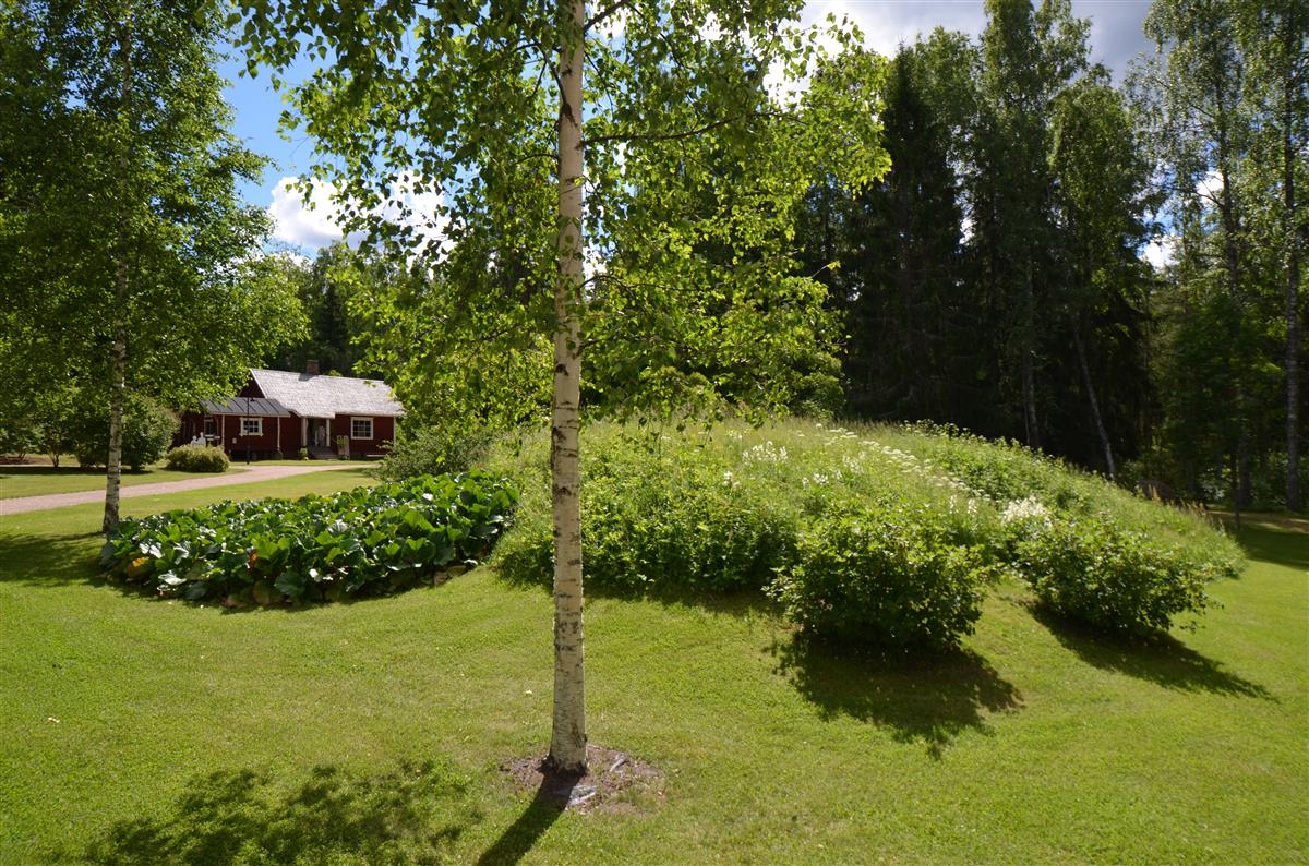 Maakellarin ruohokumpu luoteesta päin kuvattuna. Taustalla aitat ja renkitupa. [Kohteen rakennukseen liitetty kuva]&nbsp;(Päivi Makkonen&nbsp;2026)