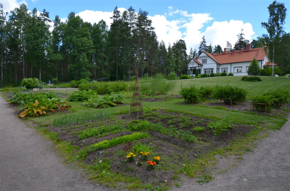 Näkymä Kotkaniemen hyötypuutarhan lounaiskulmasta kohti päärakennusta.&nbsp;(Päivi Makkonen&nbsp;2026)