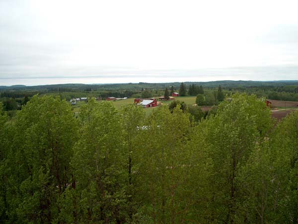 &nbsp;(Pöyry Environment Oy/Matti Veijovuori&nbsp;2007)