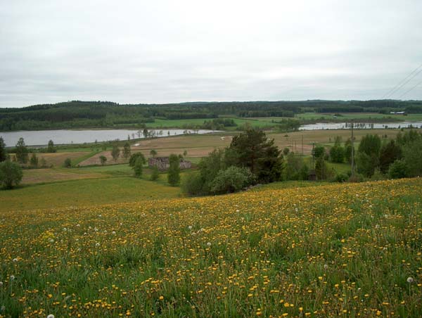 &nbsp;(Pöyry Environment Oy/Matti Veijovuori&nbsp;2007)
