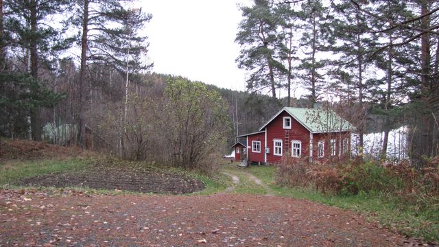 Hiekkaranta Uukuniementieltä.&nbsp;(Niina Ahlfors&nbsp;lokakuu 2012)