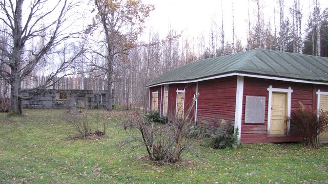 Navetan rauniot aitan läheisyydessä.&nbsp;(Niina Ahlfors&nbsp;lokakuu 2012)