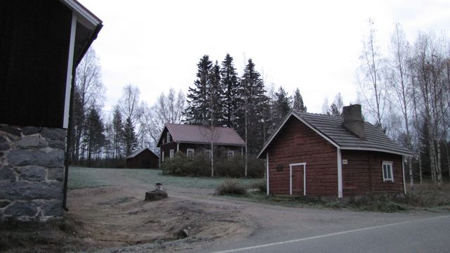 Pihapiiri.&nbsp;(Niina Ahlfors&nbsp;lokakuu 2012)