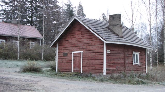 Sauna.&nbsp;(Niina Ahlfors&nbsp;lokakuu 2012)