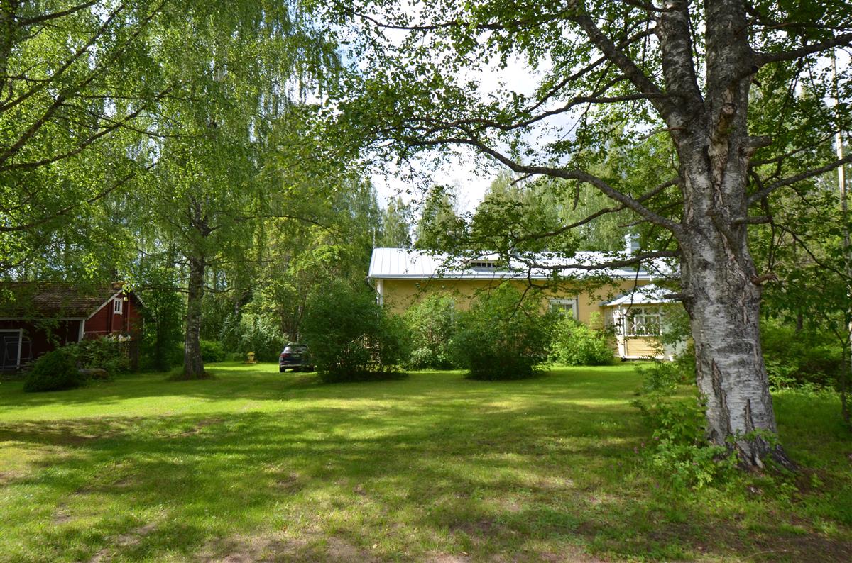 Mönttilän entinen sauna ja päärakennus kaakosta päin kuvattuna.&nbsp;(Päivi Makkonen&nbsp;2025)