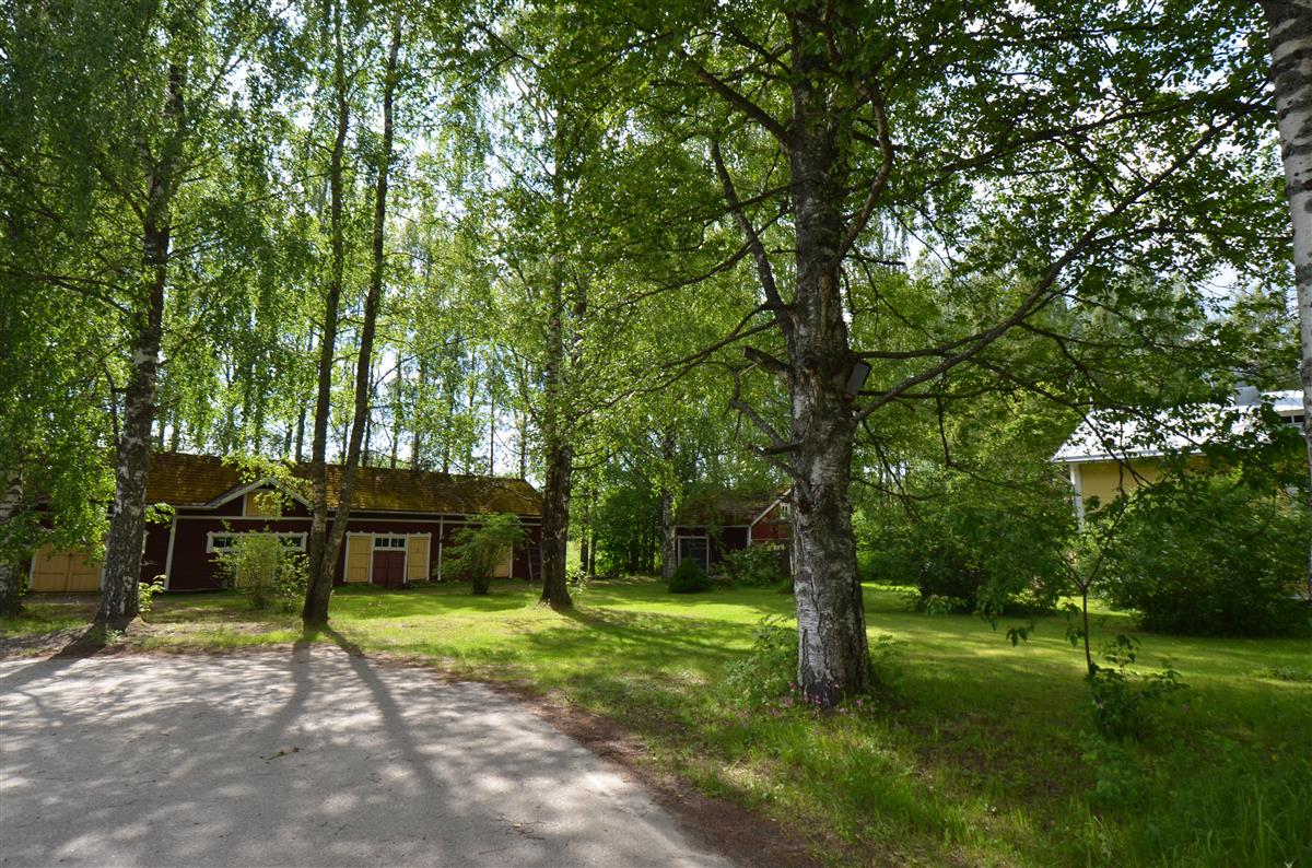 Mönttilän aittarakennus, entinen sauna ja päärakennus koillisesta päin kuvattuna.&nbsp;(Päivi Makkonen&nbsp;2025)