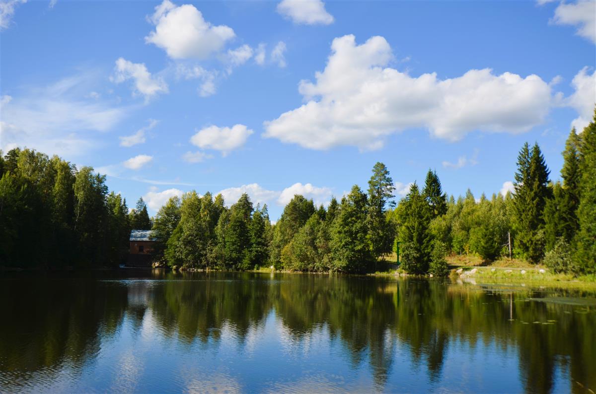 Näkymä Hiitolanjoen itärannalta kohti luodetta ja Ritakosken voimalaitosta.&nbsp;(Päivi Makkonen&nbsp;2026)
