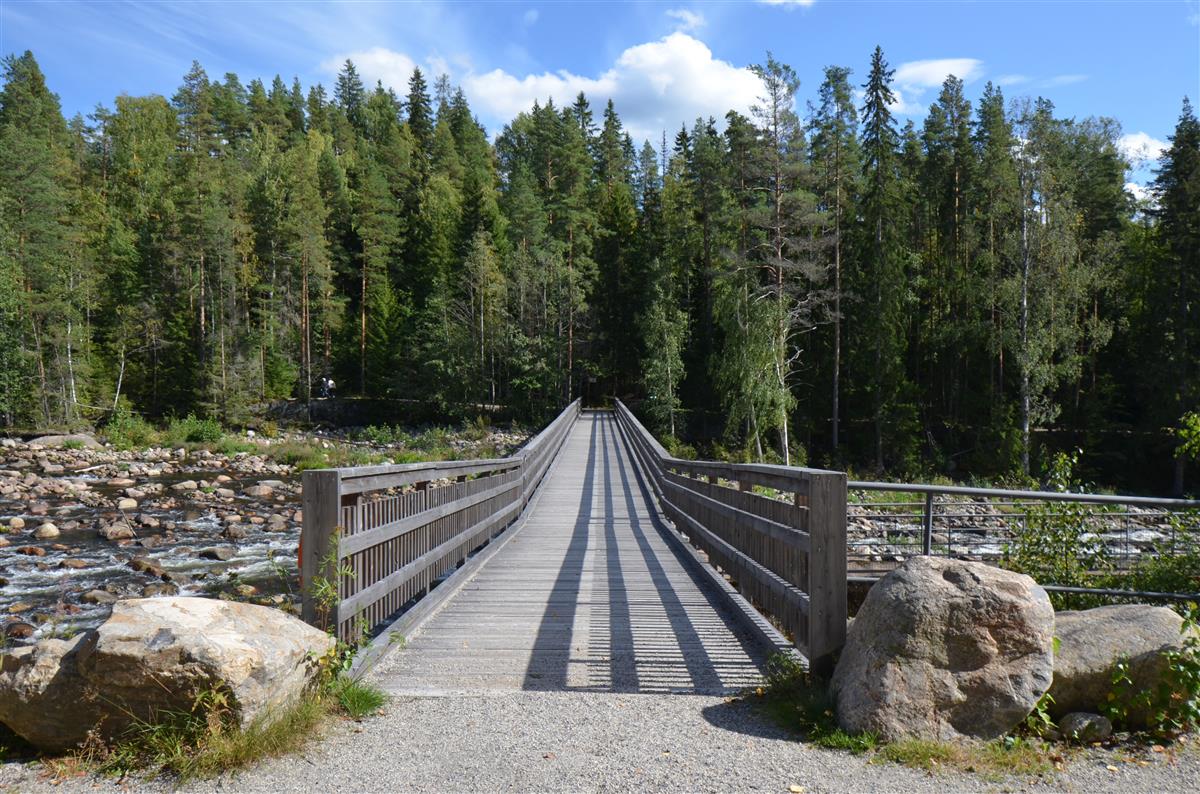 Näkymä Hiitolanjoen länsirannalta kävelysiltaa pitkin kohti Lahnasenkosken itärantaa.&nbsp;(Päivi Makkonen&nbsp;2026)
