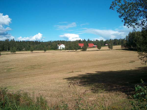 &nbsp;(Pöyry Environment/Matti Veijovuori&nbsp;2007)