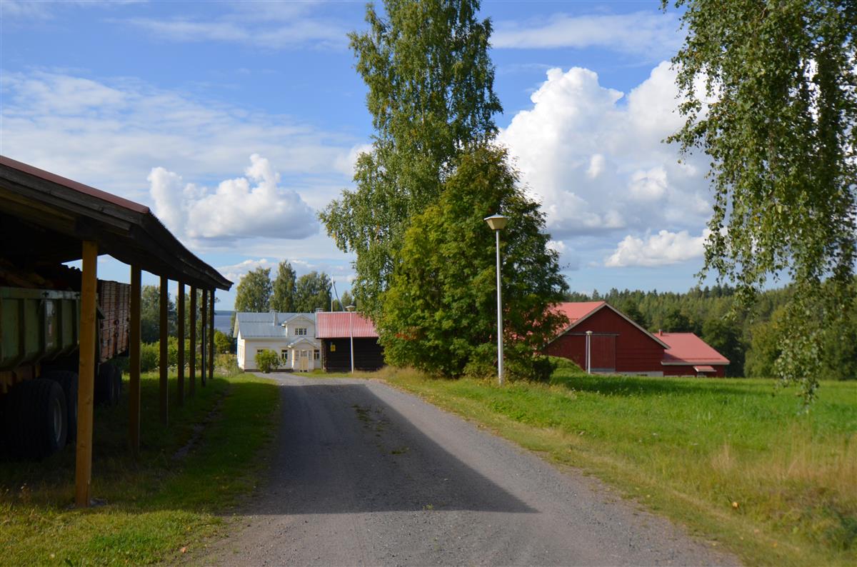 Pätilän hovin pihatietä ja rakennuksia kaakosta päin kuvattuna.&nbsp;(Päivi Makkonen&nbsp;2026)