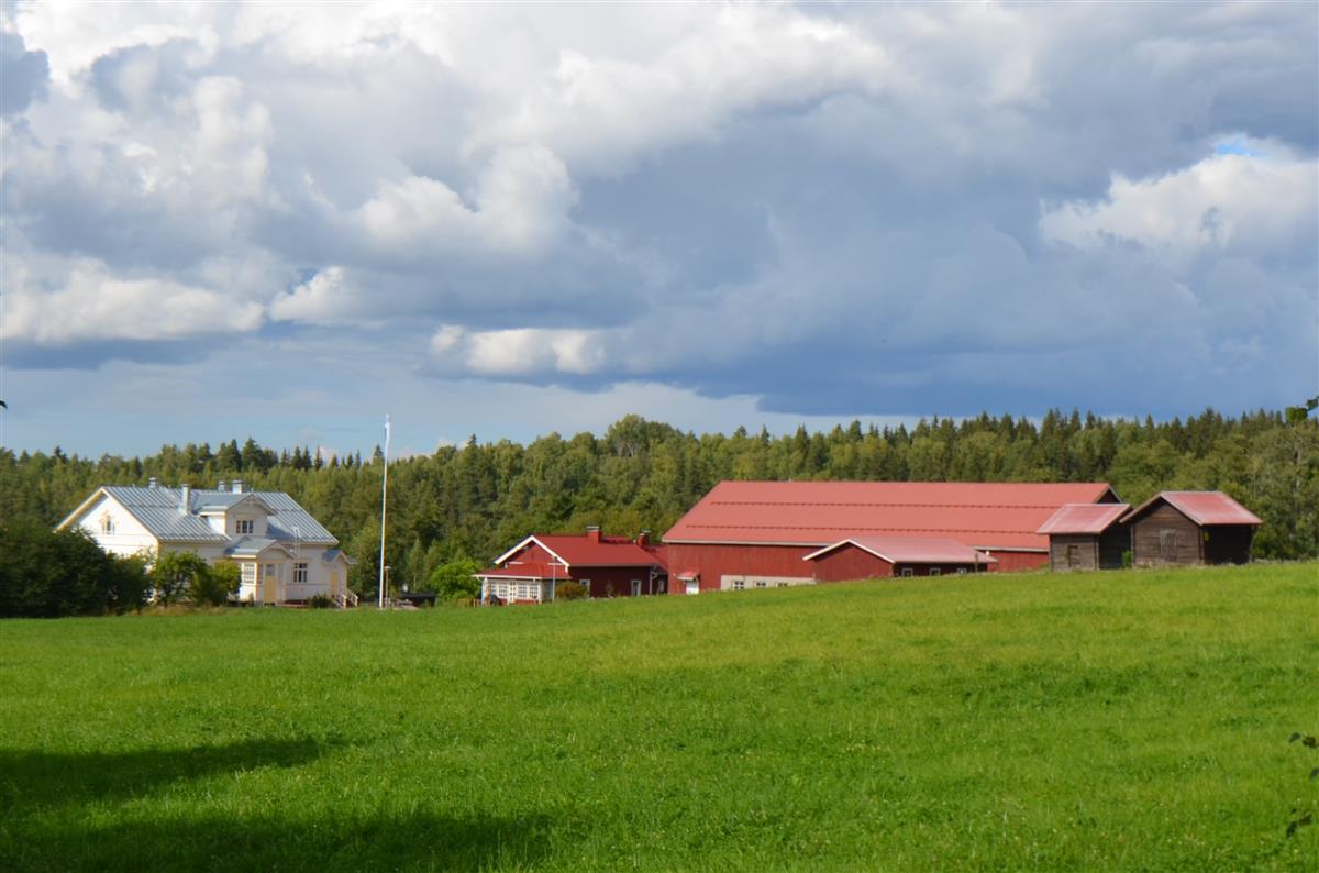 Pätilän hovi Rasilantieltä, etelästä päin kuvattuna.&nbsp;(Päivi Makkonen&nbsp;2026)