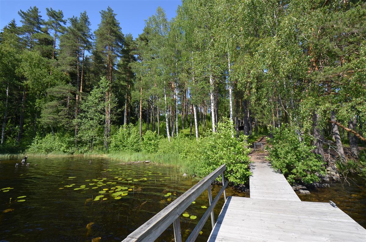 Kärnäkosken entinen lotjasatama laiturilta, etelästä päin kuvattuna. Taustalla Vuorilinnoituksen laavu.&nbsp;(Päivi Makkonen&nbsp;2025)