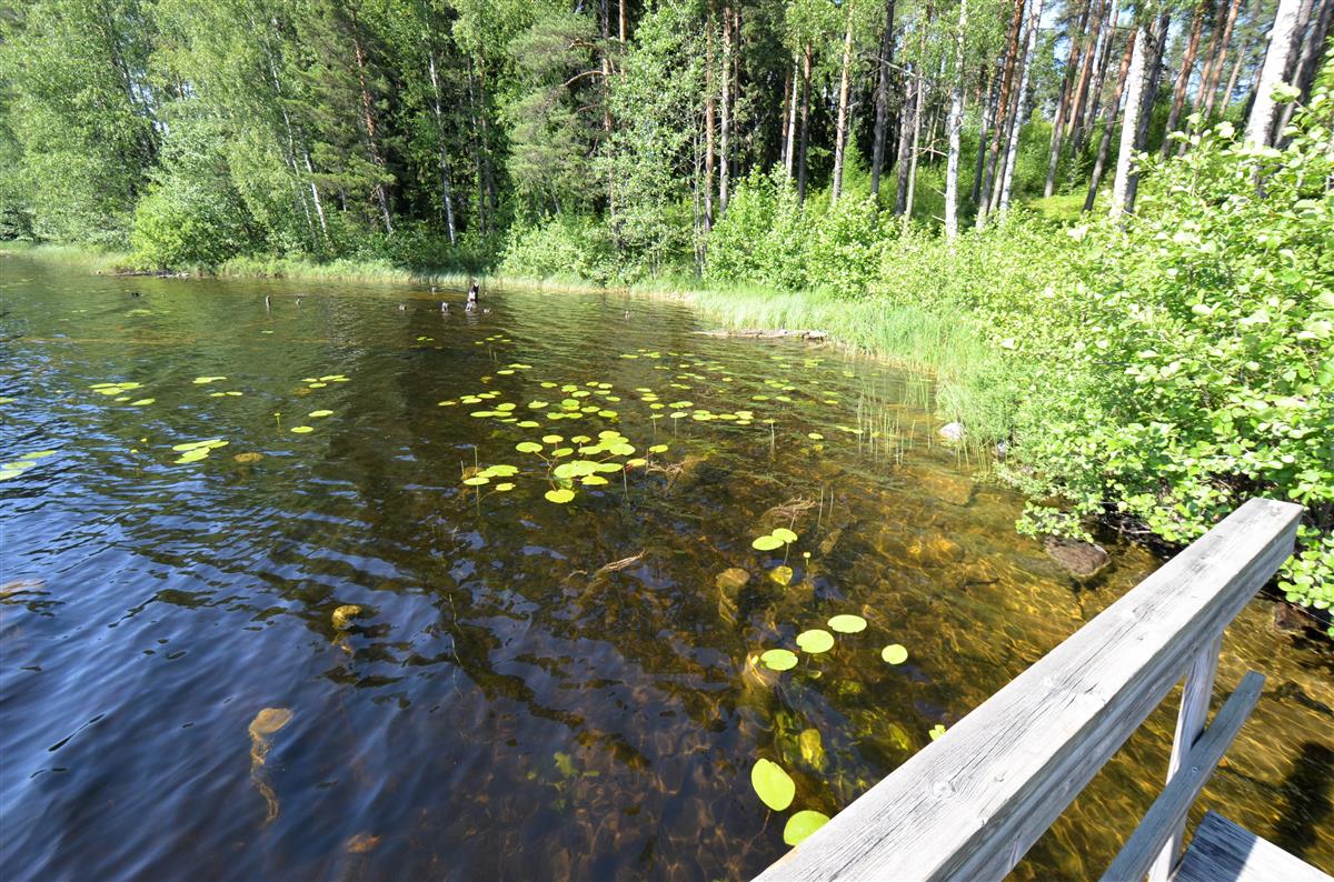 Kärnäkosken lotjasatama laiturilta, kaakosta päin kuvattuna. Rantavedessä näkyvät lotjan jäänteet.&nbsp;(Päivi Makkonen&nbsp;2025)