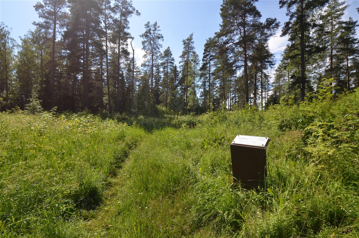 Kärnäkosken linnoituksen redutin, Vuorilinnoituksen läpi johtava polku ja opastaulu koillisesta päin kuvattuna.&nbsp;(Päivi Makkonen&nbsp;2025)