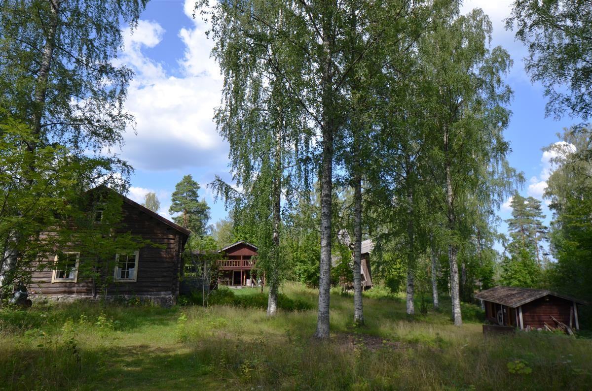 Näkymä Hakamäen pihapiiristä kohti luodetta. Kuvassa päärakennus, vilja-aitta, tuulimylly ja pariaitta.&nbsp;(Päivi Makkonen&nbsp;2025)