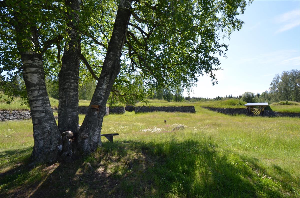 Näkymä kohti Kärnäkosken linnoituksen keskialuetta koillisesta päin kuvattuna.&nbsp;(Päivi Makkonen&nbsp;2025)